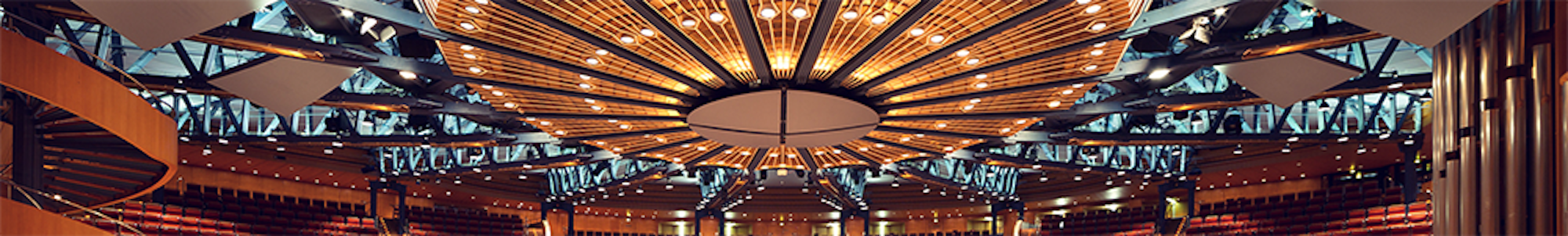 Nur für Themenseiten Banner