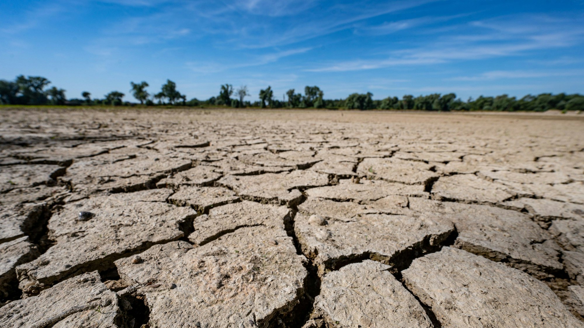 ARCHIV - 20.07.2022, Bayern, Mariaposching: Aufgerissen und ausgetrocknet ist eine Sandbank an der Niedrigwasser führenden Donau. (zu dpa "WEF: Inflation, Cyberattacken und Klimawandel sind globale Risiken") Foto: Armin Weigel/dpa +++ dpa-Bildfunk +++