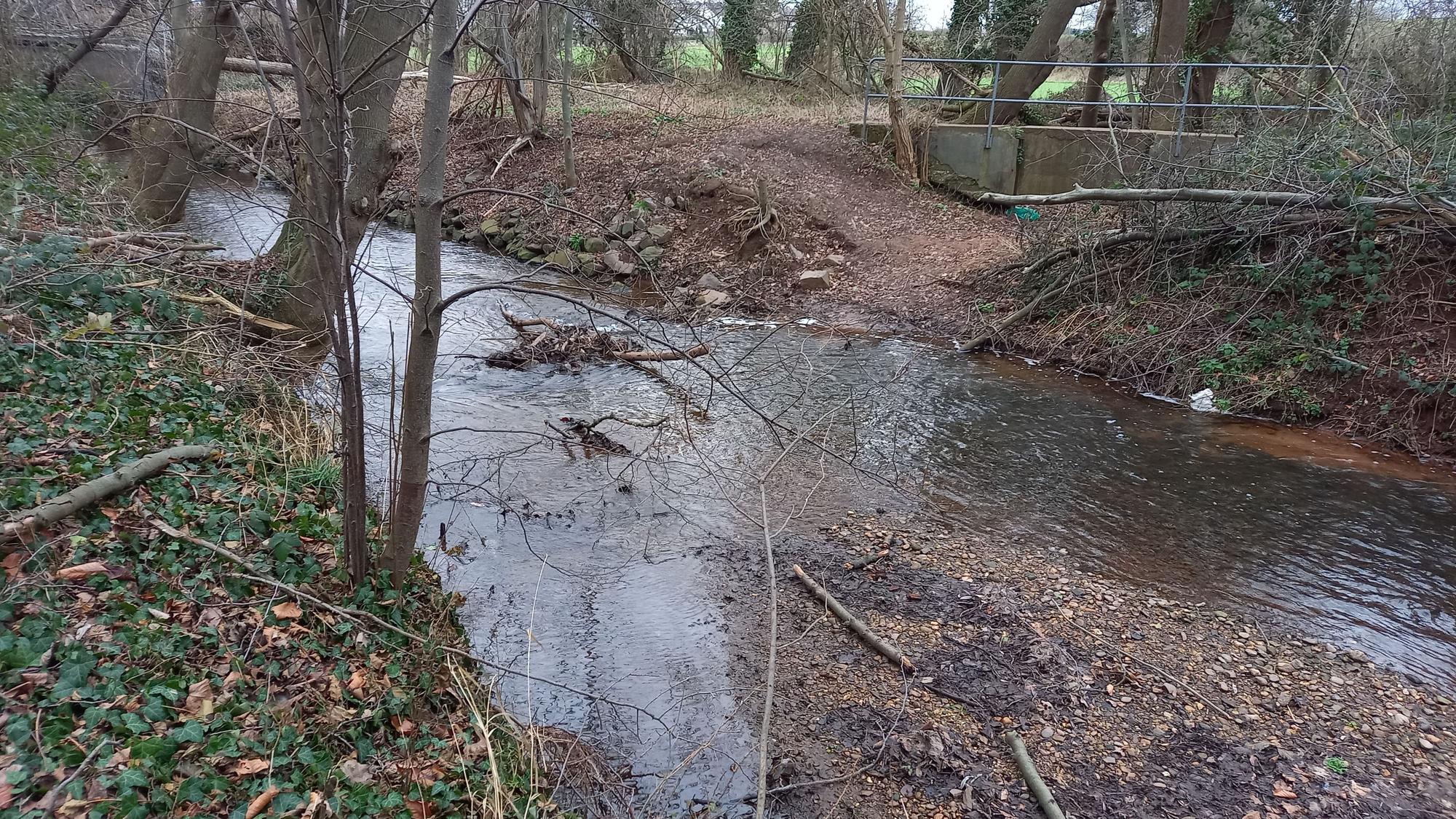 Man sieht einen Teil des Baches, wie er durch einen Wald fließt.