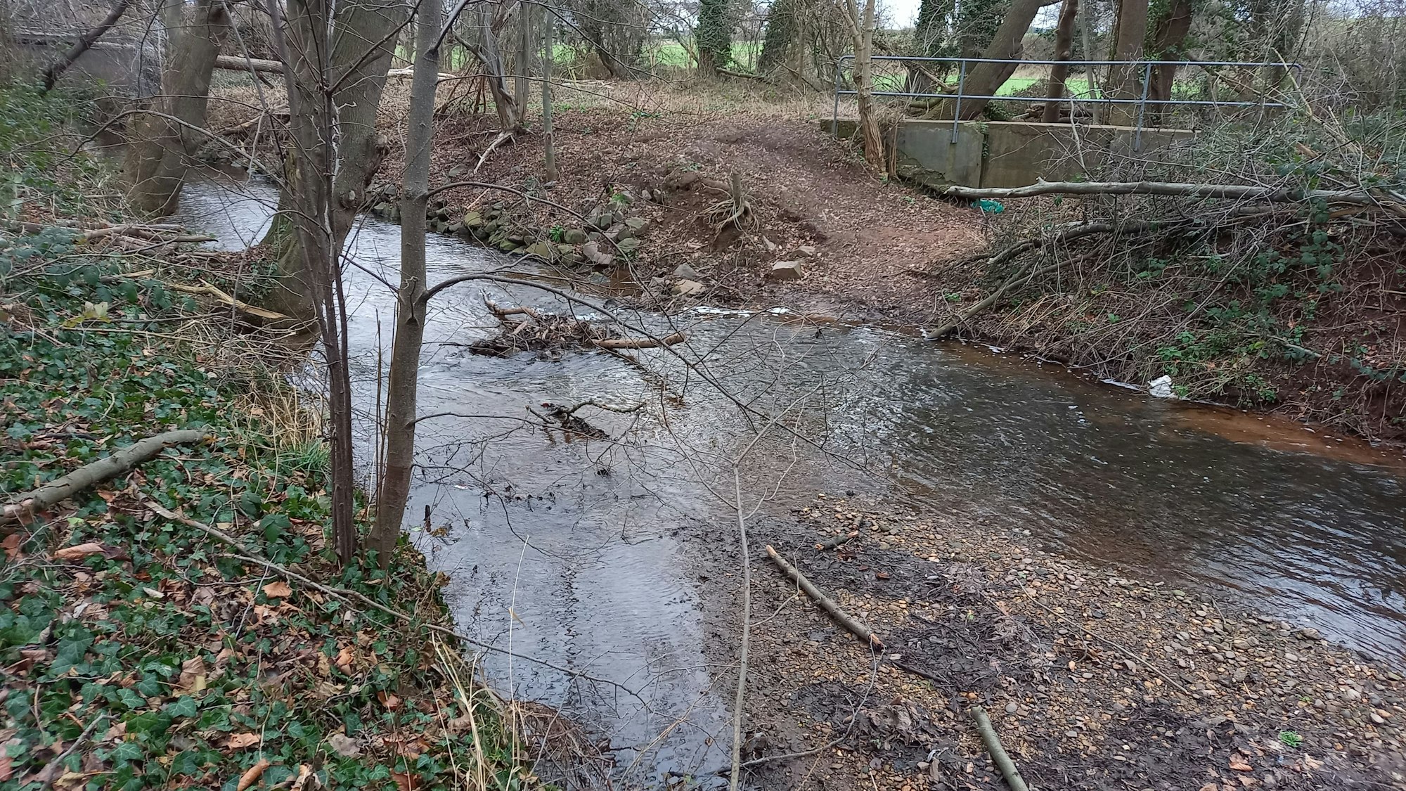 Man sieht einen Teil des Baches, wie er durch einen Wald fließt.