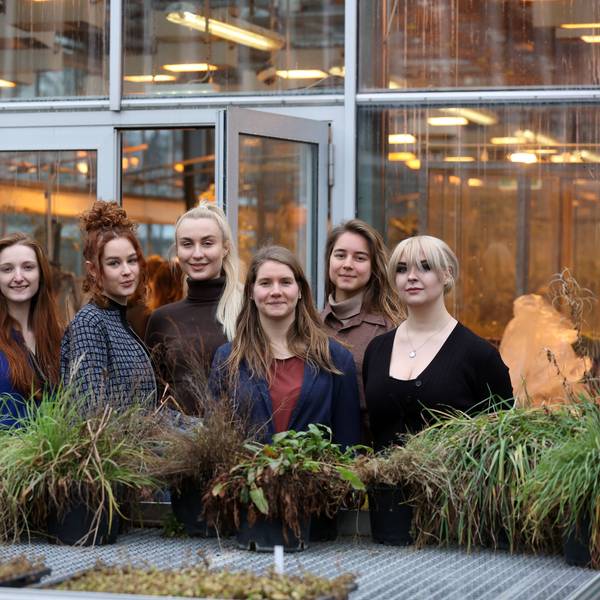 Das Bild zeigt vier der ukrainischen Studentinnen und zwei Studentinnen von der Universität zu Köln mit Projektleiterin Isabelle Metzen.
