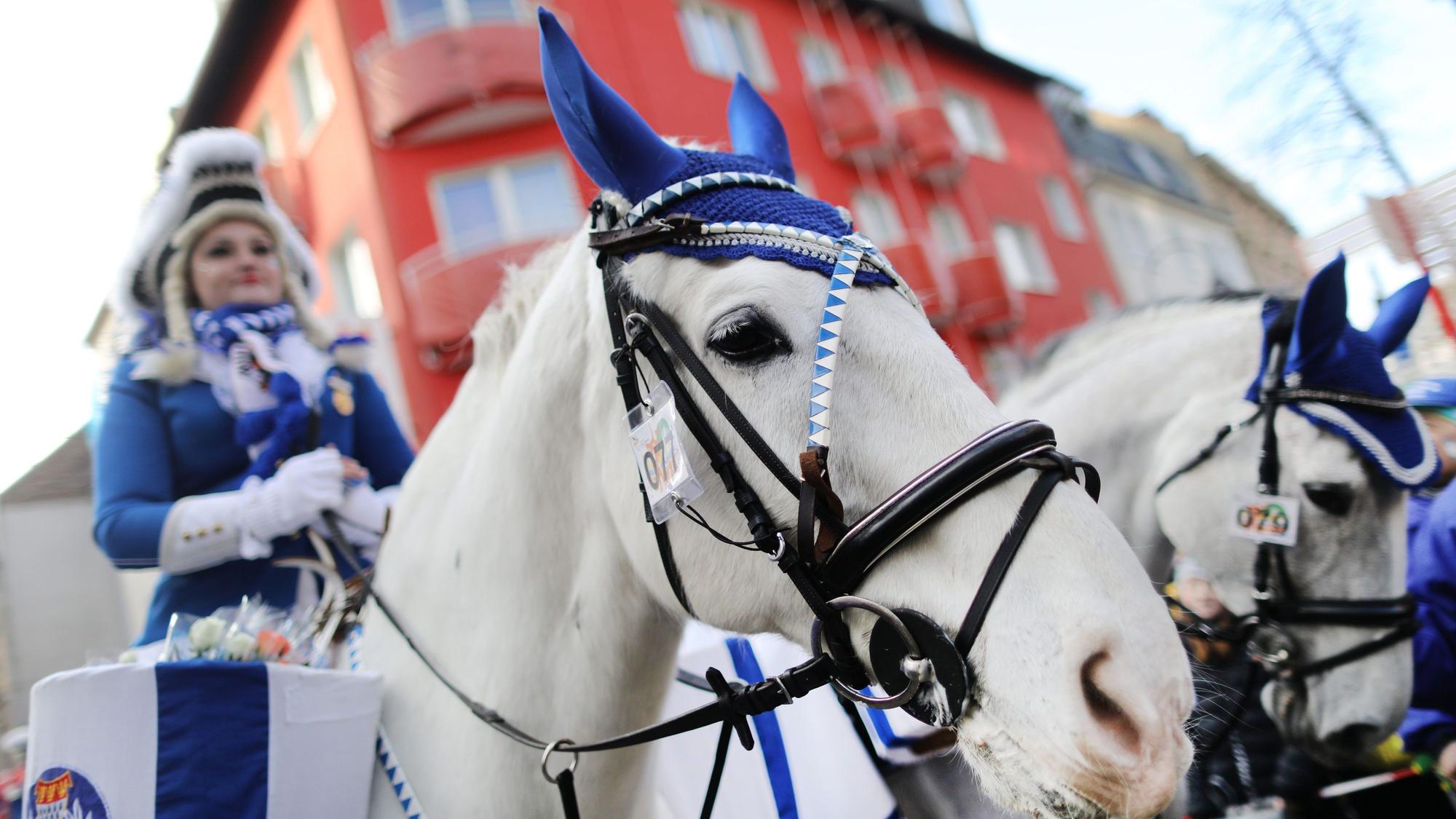 Unser Archivbild zeigt eine Karnevalistin auf einem Pferd, die am Kölner Rosenmontagszug teilnimmt.