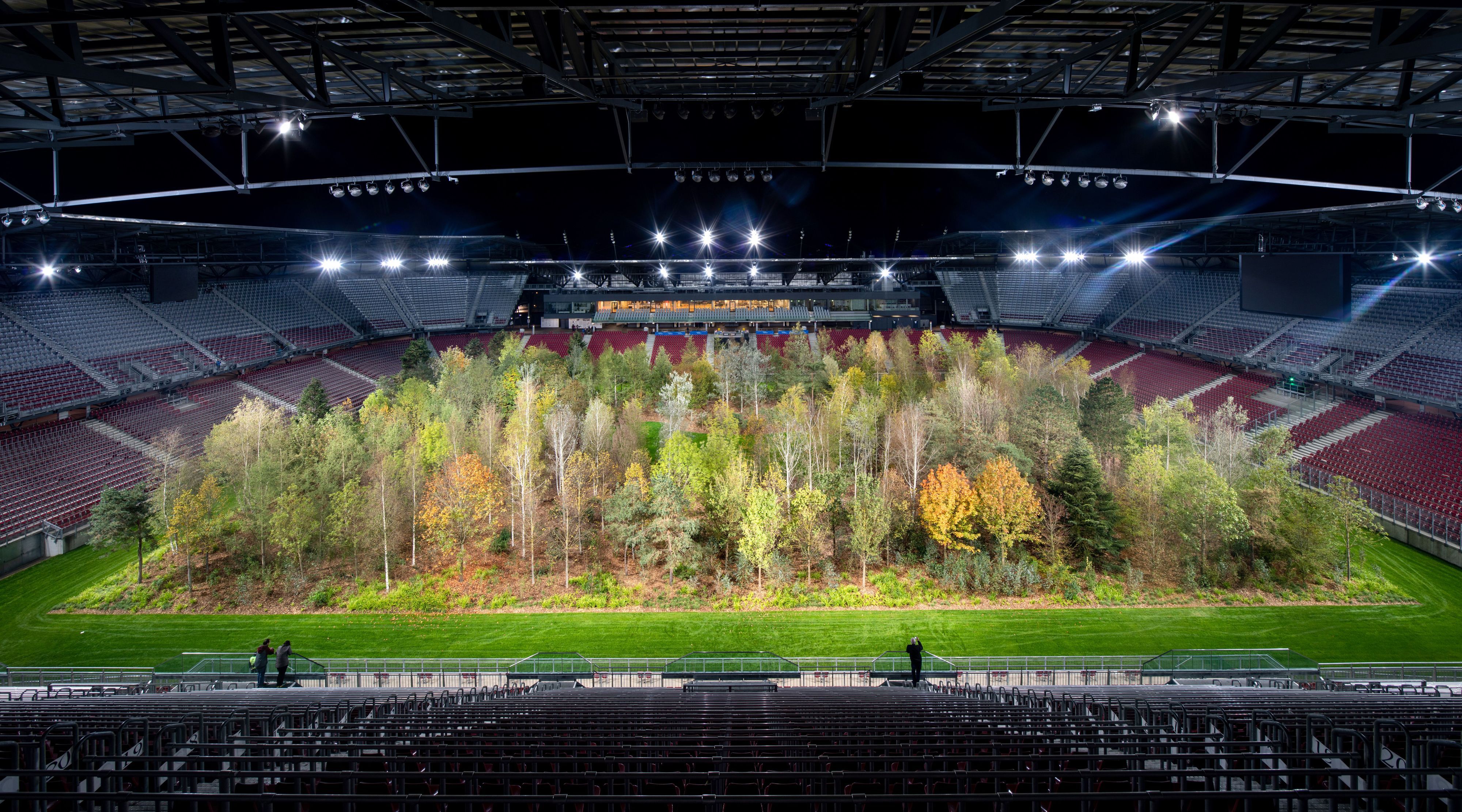 Klaus Littmanns „For Forest“ zeigt einen Mischwald, der auf dem Rasen eines modernen Fußballstadions steht.