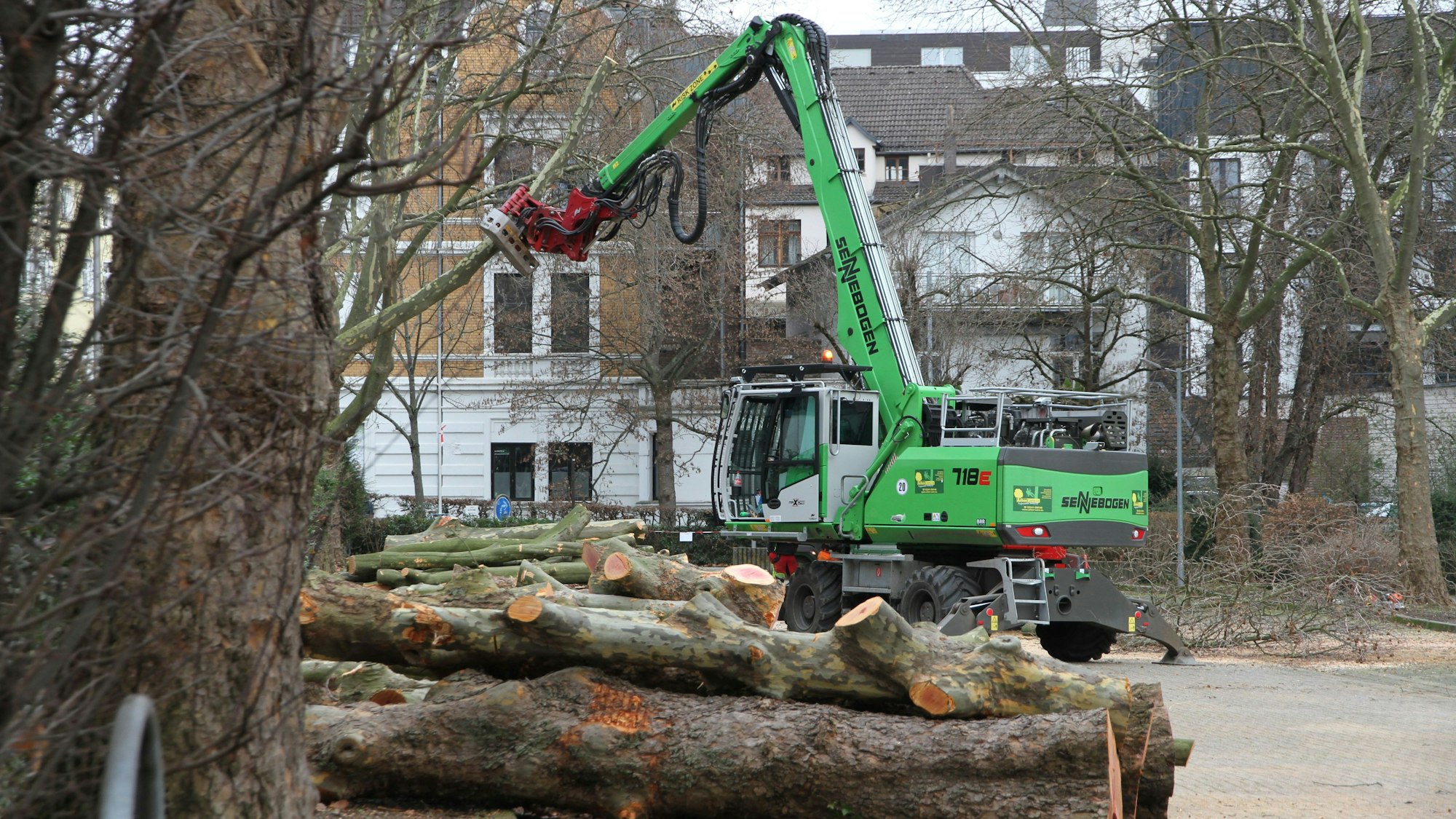 Ein Bagger führt Fällarbeiten durch.