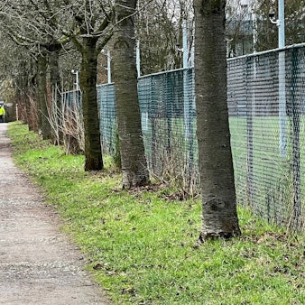 Der Fuß- und Radweg längs des eingezäunten Mazda-Geländes in Hitdorf in Richtung Rheinufer soll ausgebaut werden.