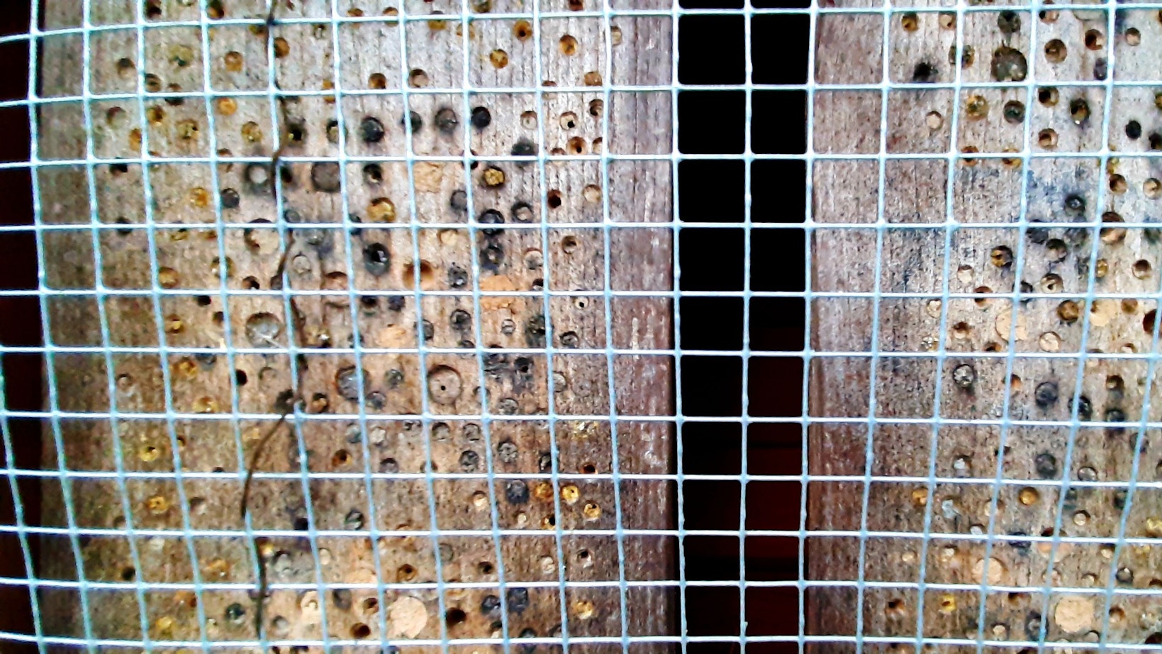 Nistkästen für Wildbienen.