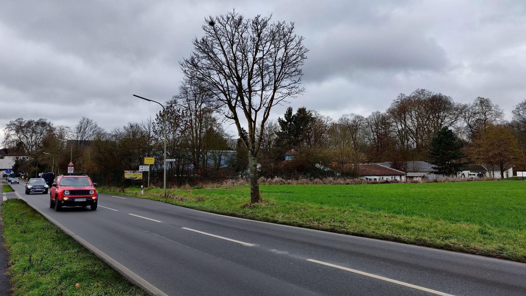 Am Hammer in Leichlingen soll ein Treff- und Bewegungspark für Jugendliche entstehen. (Archivbild)