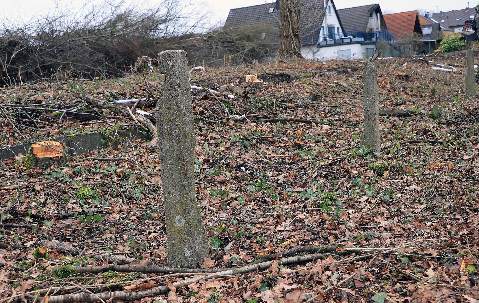 Betonpfosten stehen in überwachsenem Boden und sehen stark verschlissen aus.