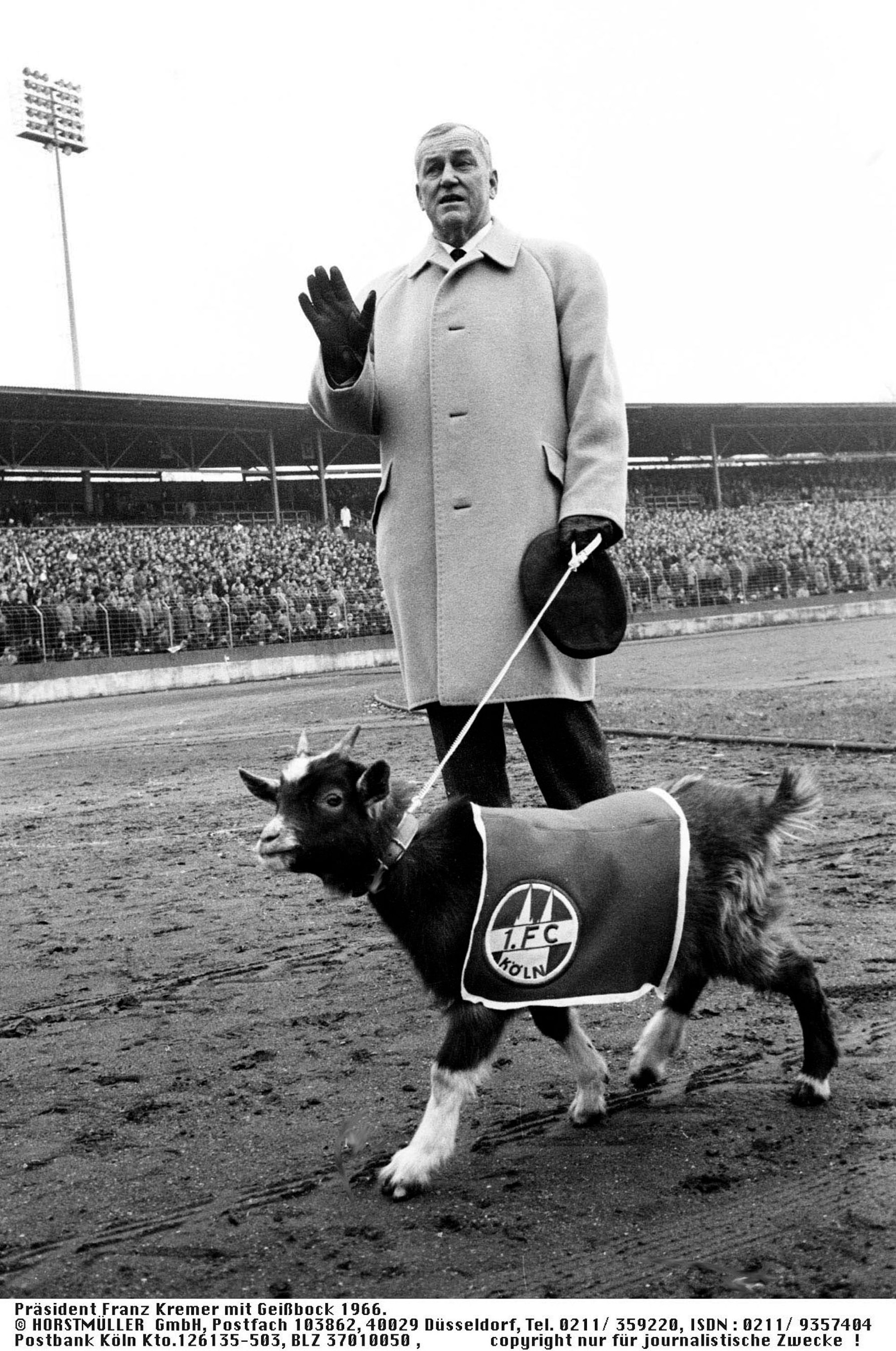 FC-Präsident Franz Kremer mit Geißbock im Jahr 1966.
