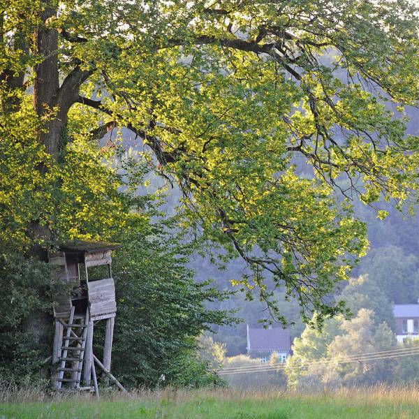 Jagdrevier Leichlingen: Ein Hochstand bei Leysiefen.