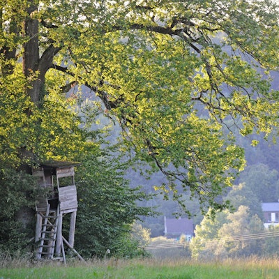 Jagdrevier Leichlingen: Ein Hochstand bei Leysiefen.