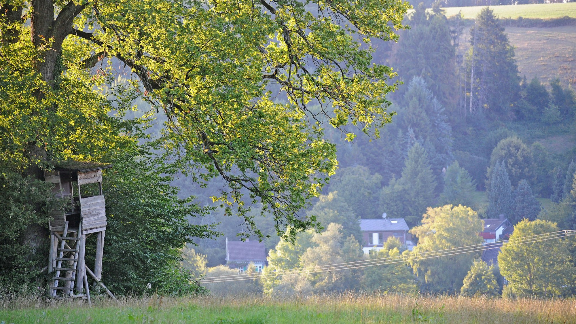 Jagdrevier Leichlingen: Ein Hochstand bei Leysiefen.