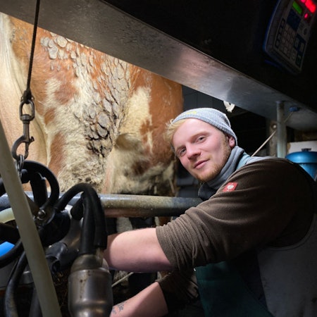 Die Landwirtschaft hat es Mats Tylla angetan. Mehrmals in der Woche kommt er auf den Erftstädter Milchhof Schäfer, um die Kühe zu melken.