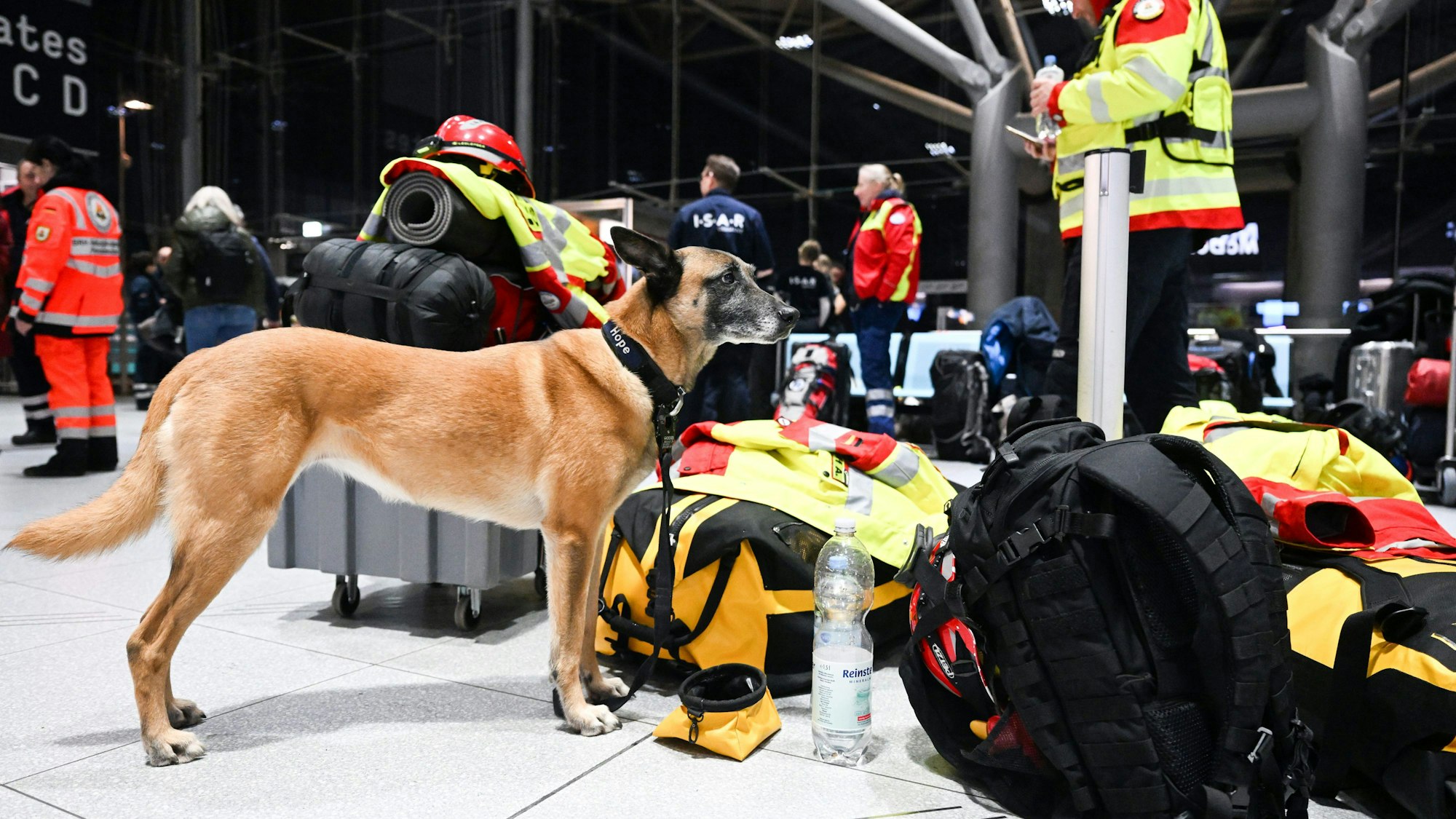 Zu sehen sind Rettungskräfte und Rettungshündin Hope mit beigem Fell und schwarzem Halsband. Alle wartet auf dem Flughafen Köln/Bonn auf den Abflug.