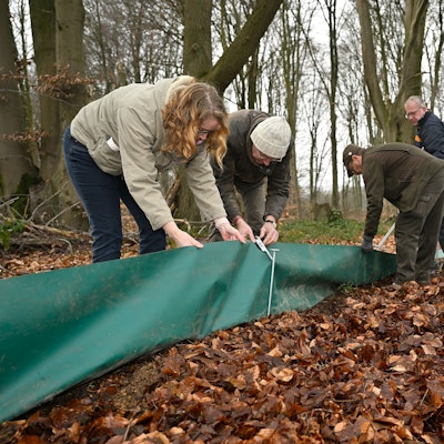 Personen spannen Planen wie Zäune ein Stück vor die Straße.
