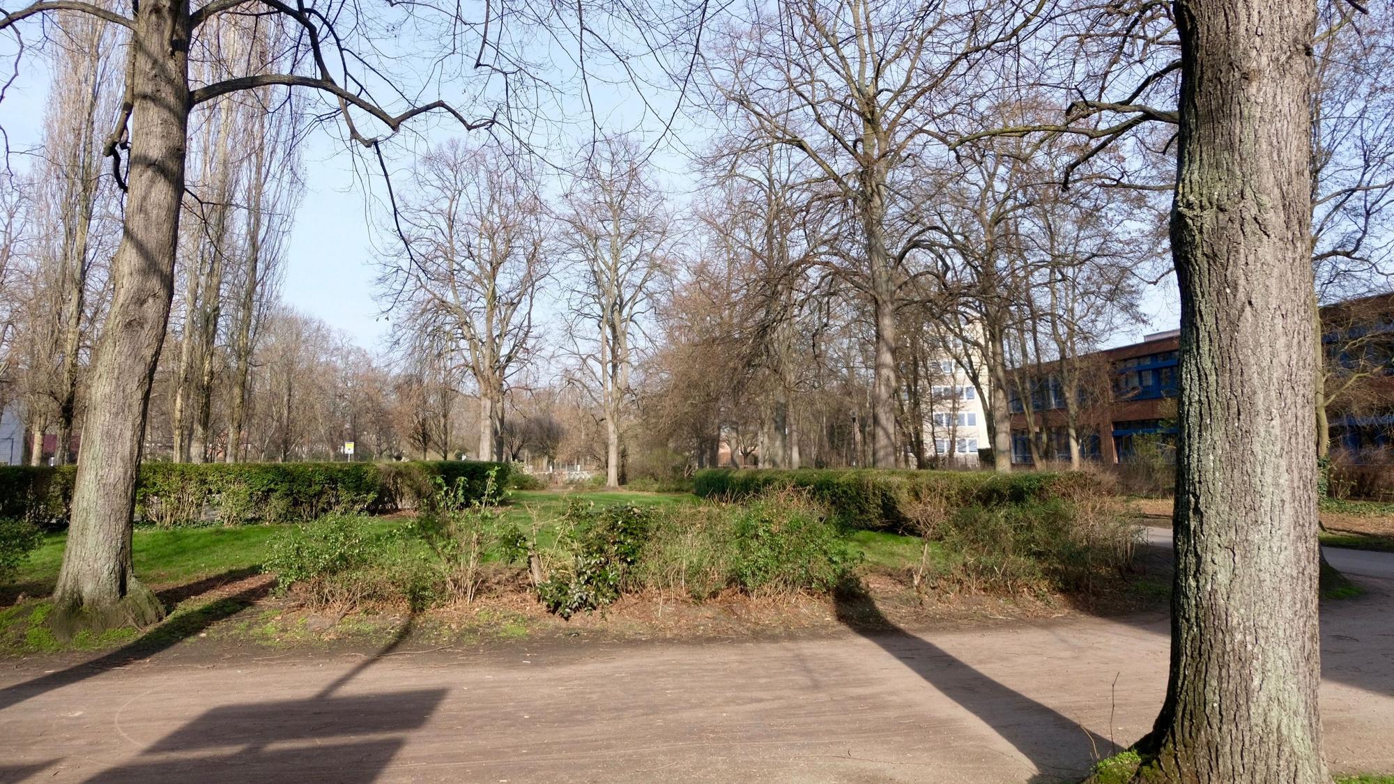 Ein Wald