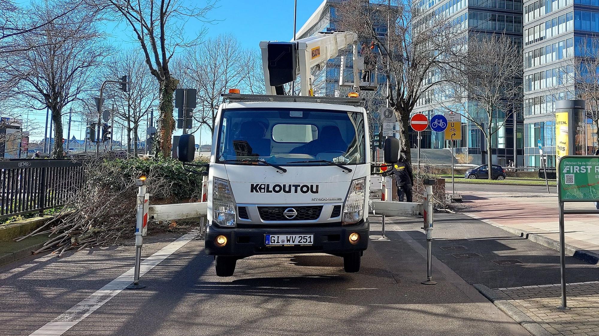Ein Steigerwagen steht auf der Deutzer Freiheit. Ein Mann steht in dem Steigerkorb und sägt Äste von Bäumen.