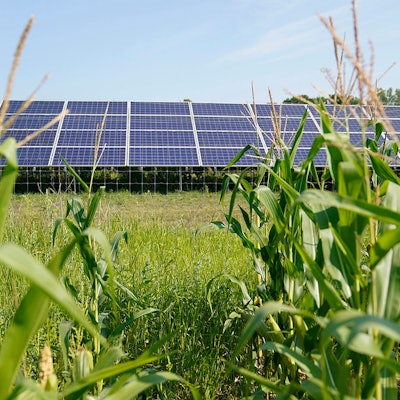 Es ist eine Wiese zu sehen, auf der Solarpaneelen stehen.