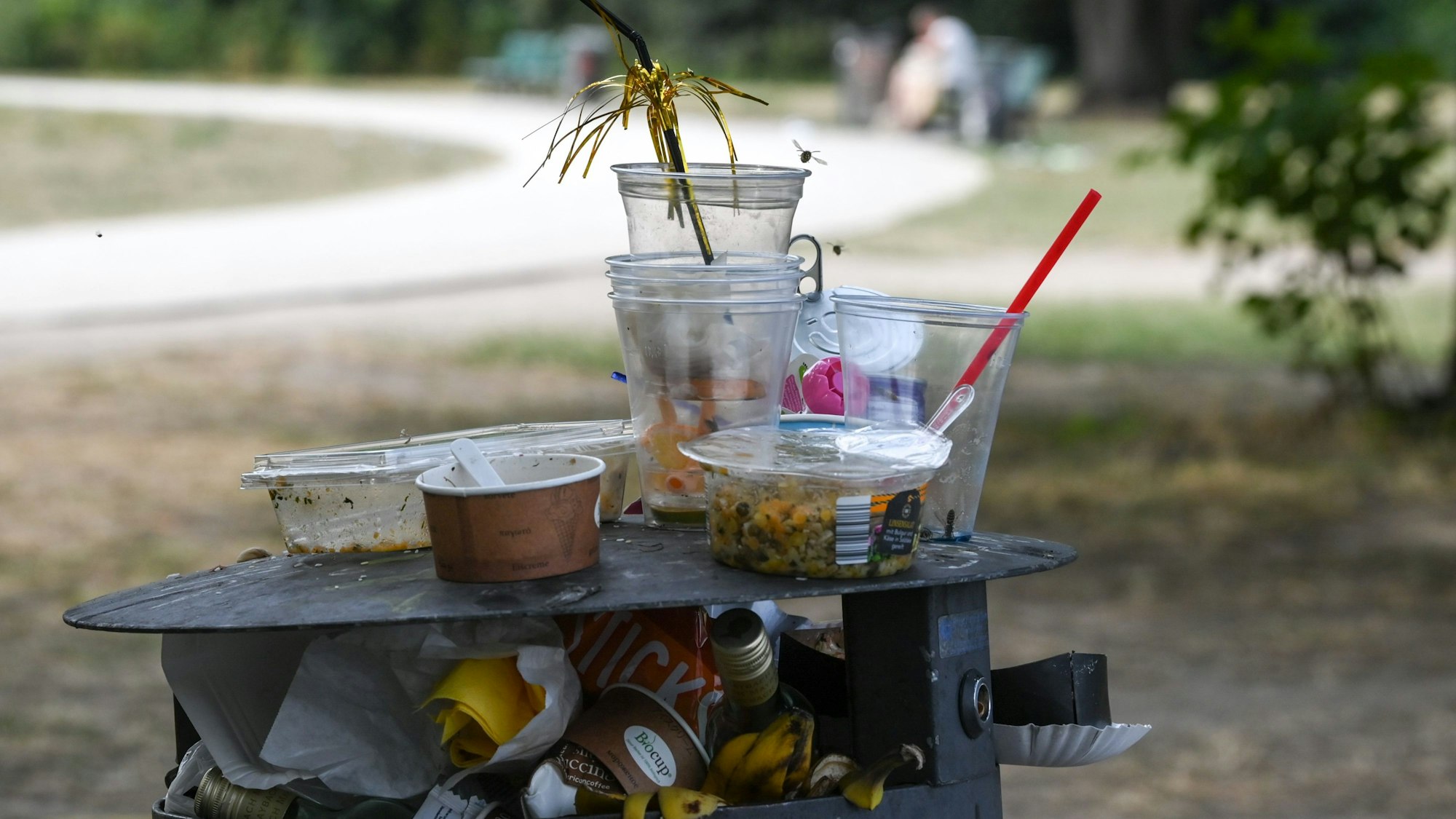 Ein übervoller Mülleimer mit Partymüll in einem Park.