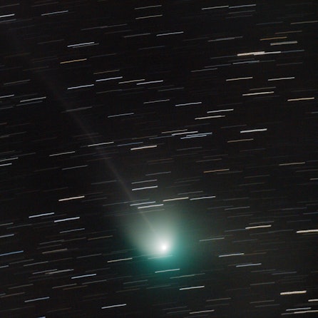 Der in Grüntönen leuchtende Komet im Nachthimmel.