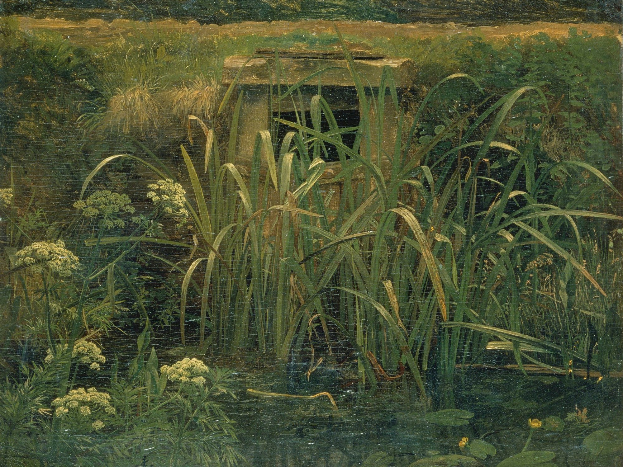 Johann Wilhelm Schirmers Ölskizze einer Bachschleuse zeigt viel grüne Natur rund um einen kleinen Bach.