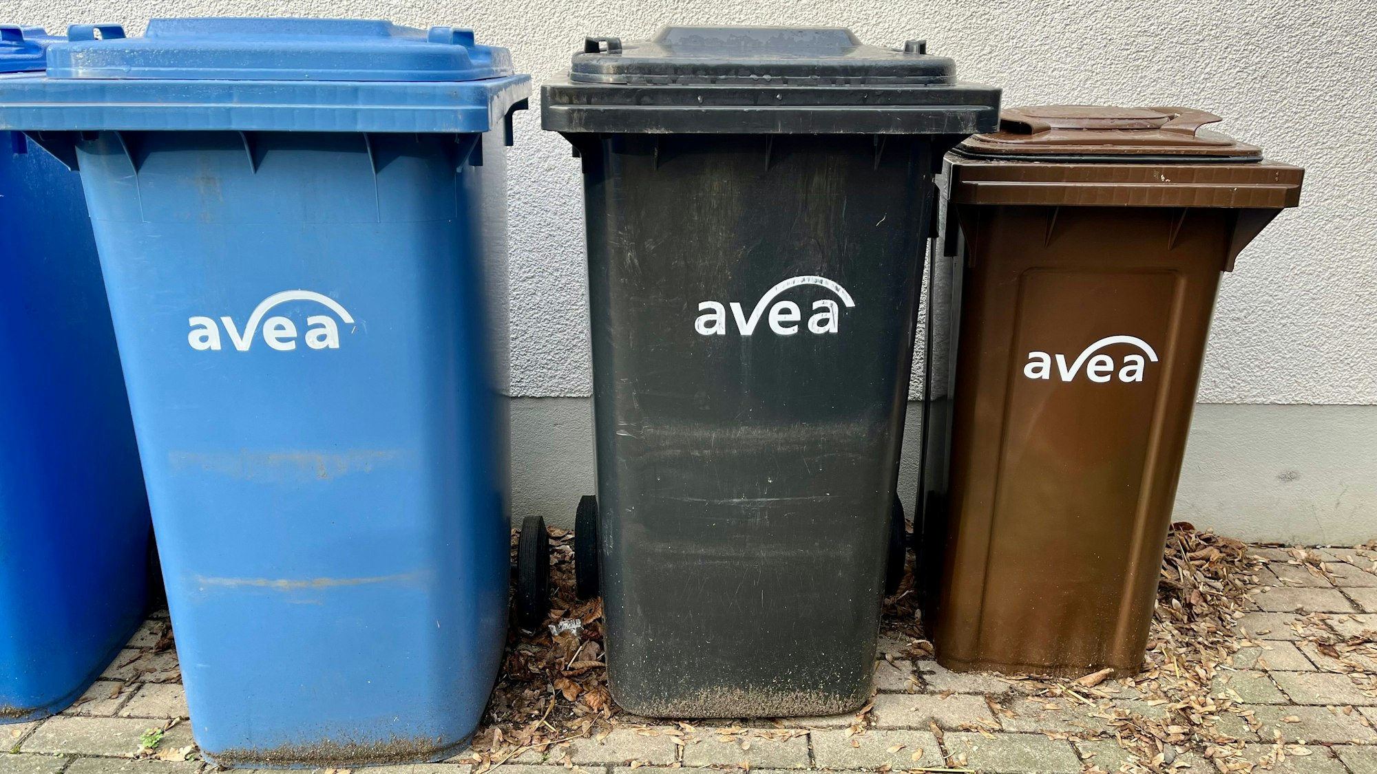 Tonnen für Papier, Restmüll und Bioabfall nebeneinander.