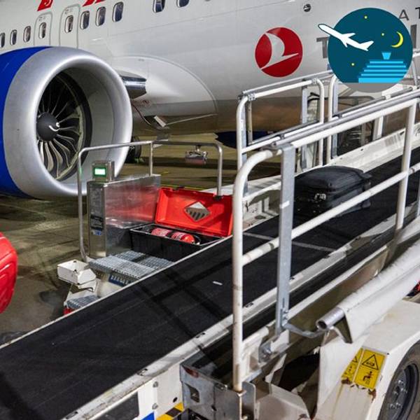 Ein Mitarbeiter der Gepäckabfertigung wuchtet einen roten Koffer auf ein Förderband. Im Hintergrund ist ein Flugzeug zu sehen.