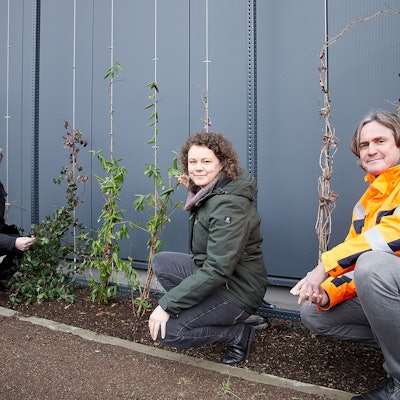 Ein Mann und eine Frau hocken vor einer Wand, vor der mehrere Pflanzen angepflanzt wurden.