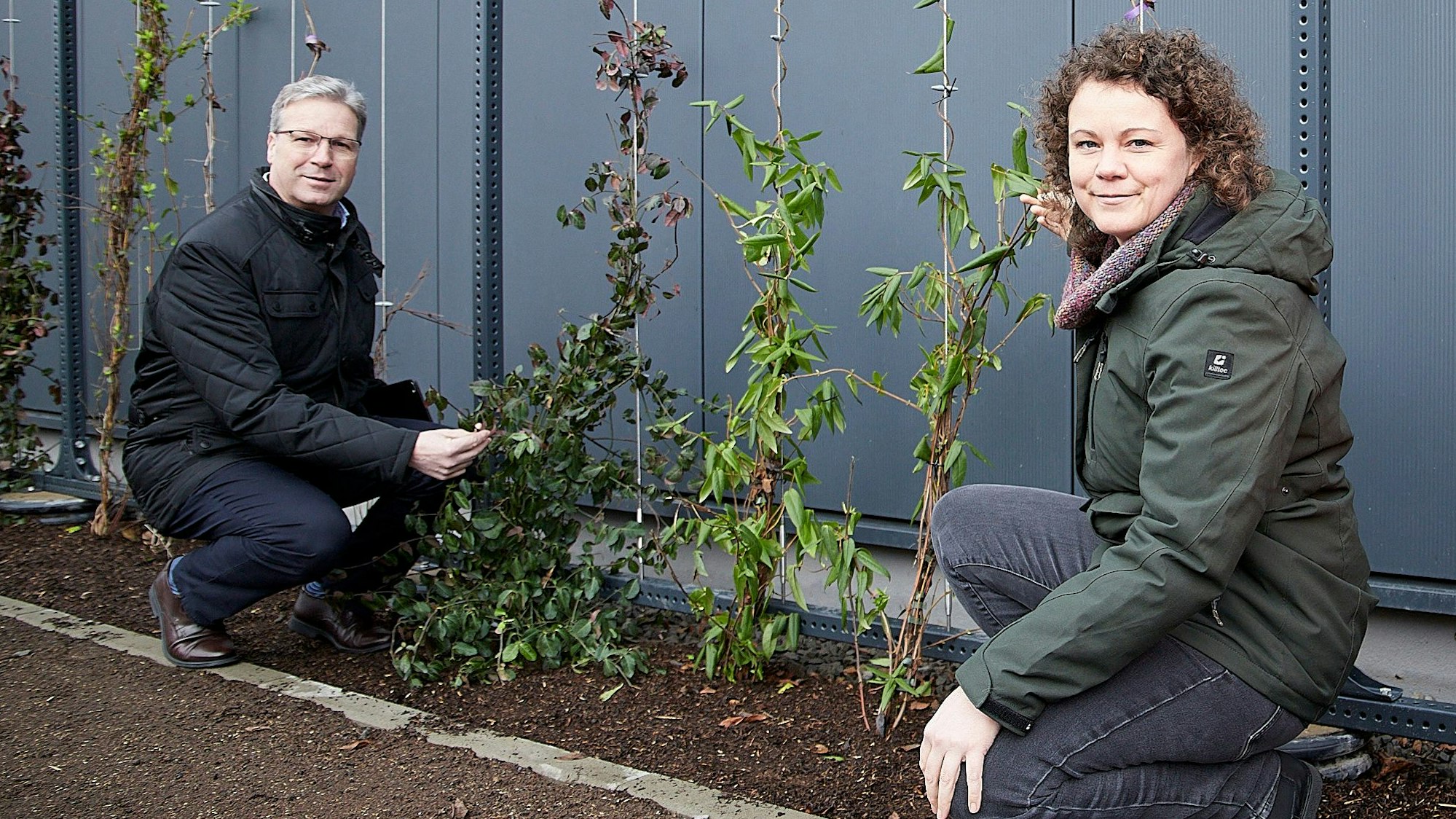 Ein Mann und eine Frau hocken vor einer Wand, vor der mehrere Pflanzen angepflanzt wurden.