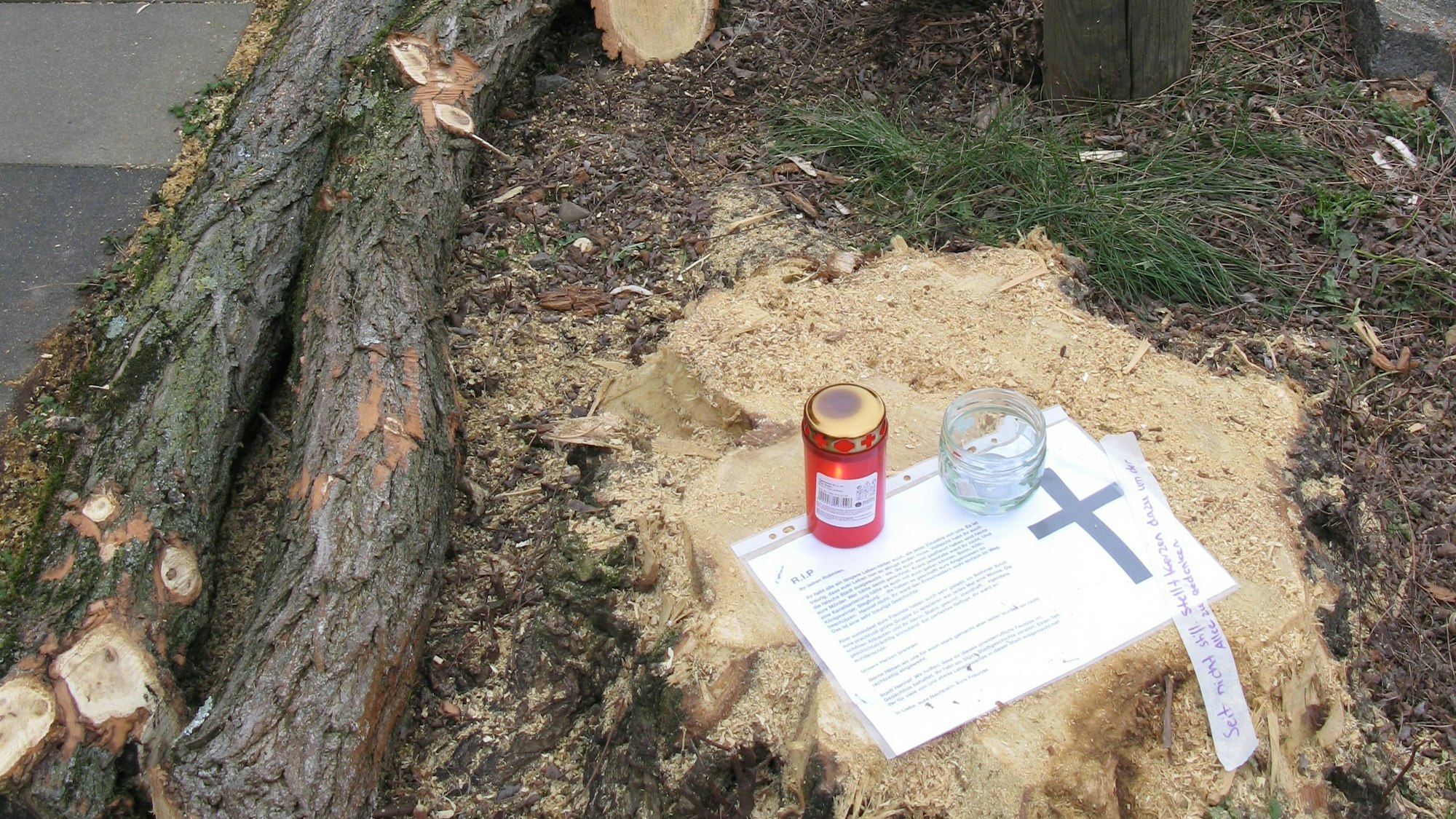 Grablichter erinnern an gefällte Bäume in Hennef.