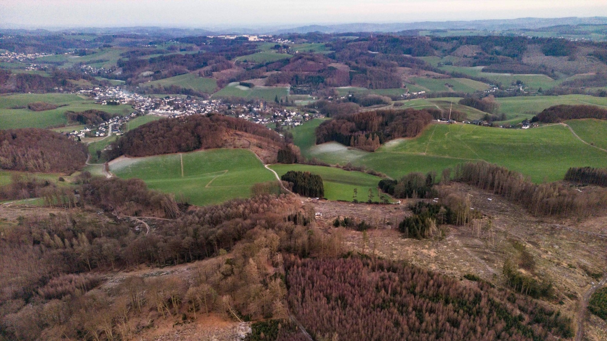 Ein Waldstück aus der Vogelperspektive