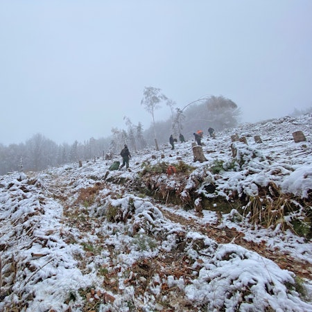 Es ist ein vereistes Waldstück zu sehen. Zwei Männer schauen den Berg hinauf, auf dem andere Menschen arbeiten.