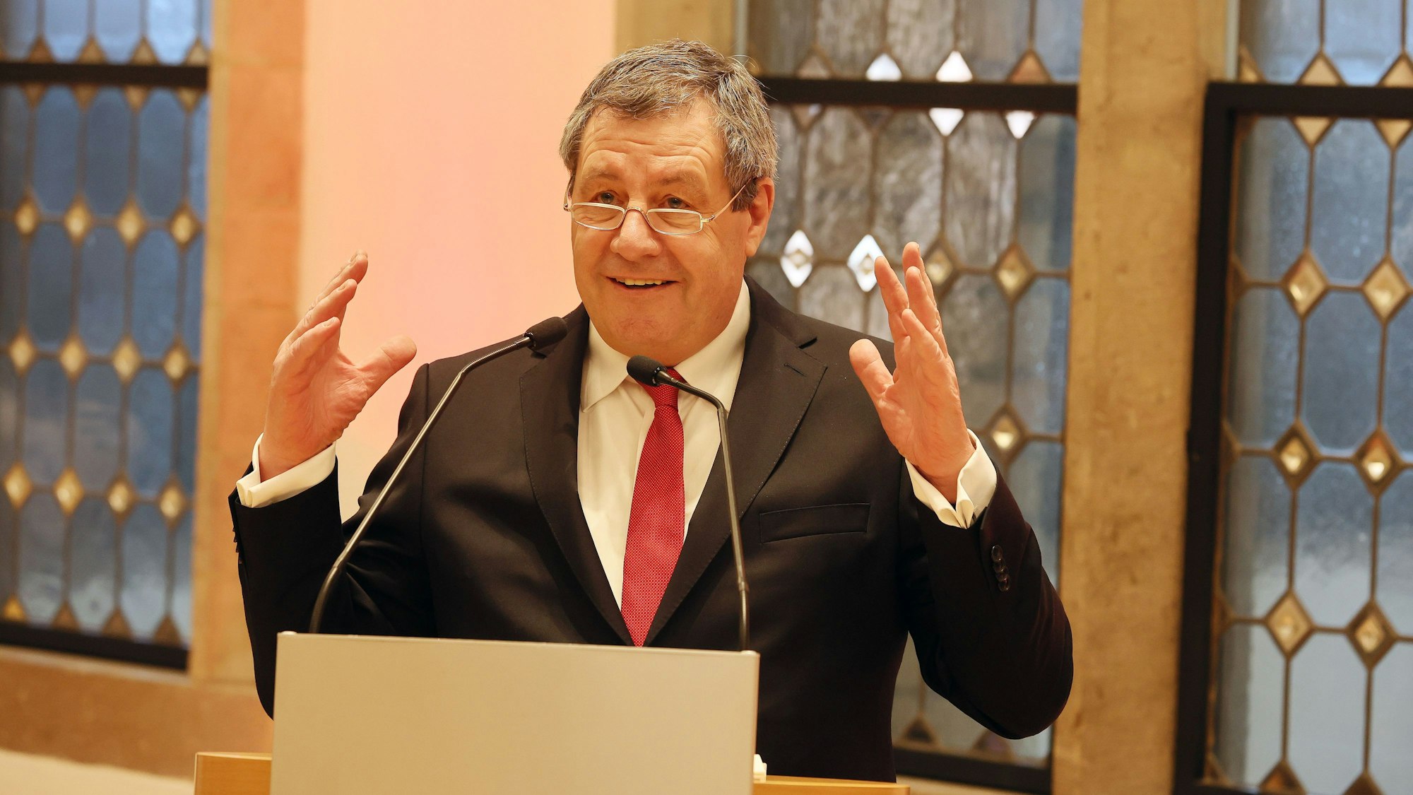 Werner Wolf am Rednerpult während er spricht.