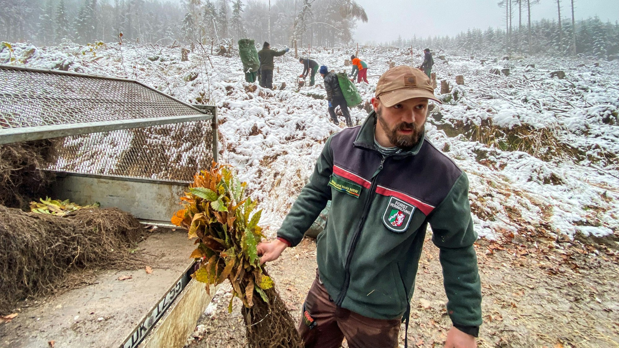 Es ist der Förster zu sehen, wie er einen Strunk in der Hand hält.