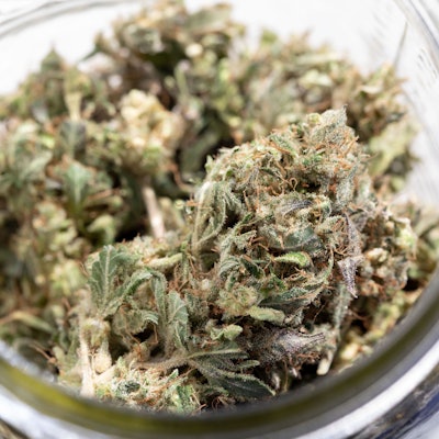 Indica Cannabis (Indischer Hanf).