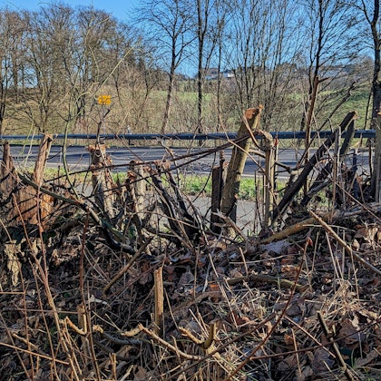Am Straßenrand liegen übereinandergestapelte Äste und Stämme.