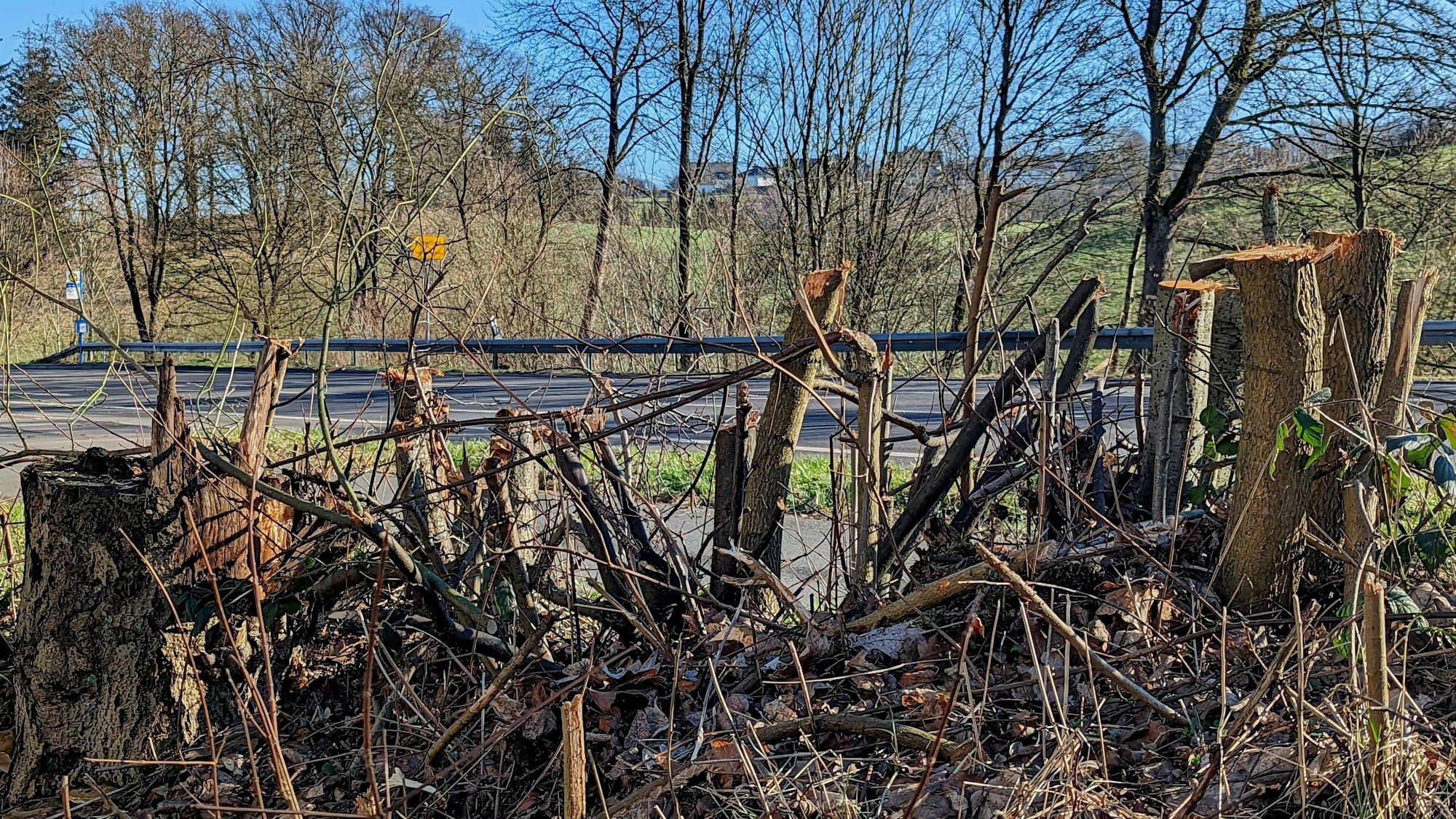 Am Straßenrand liegen übereinandergestapelte Äste und Stämme.