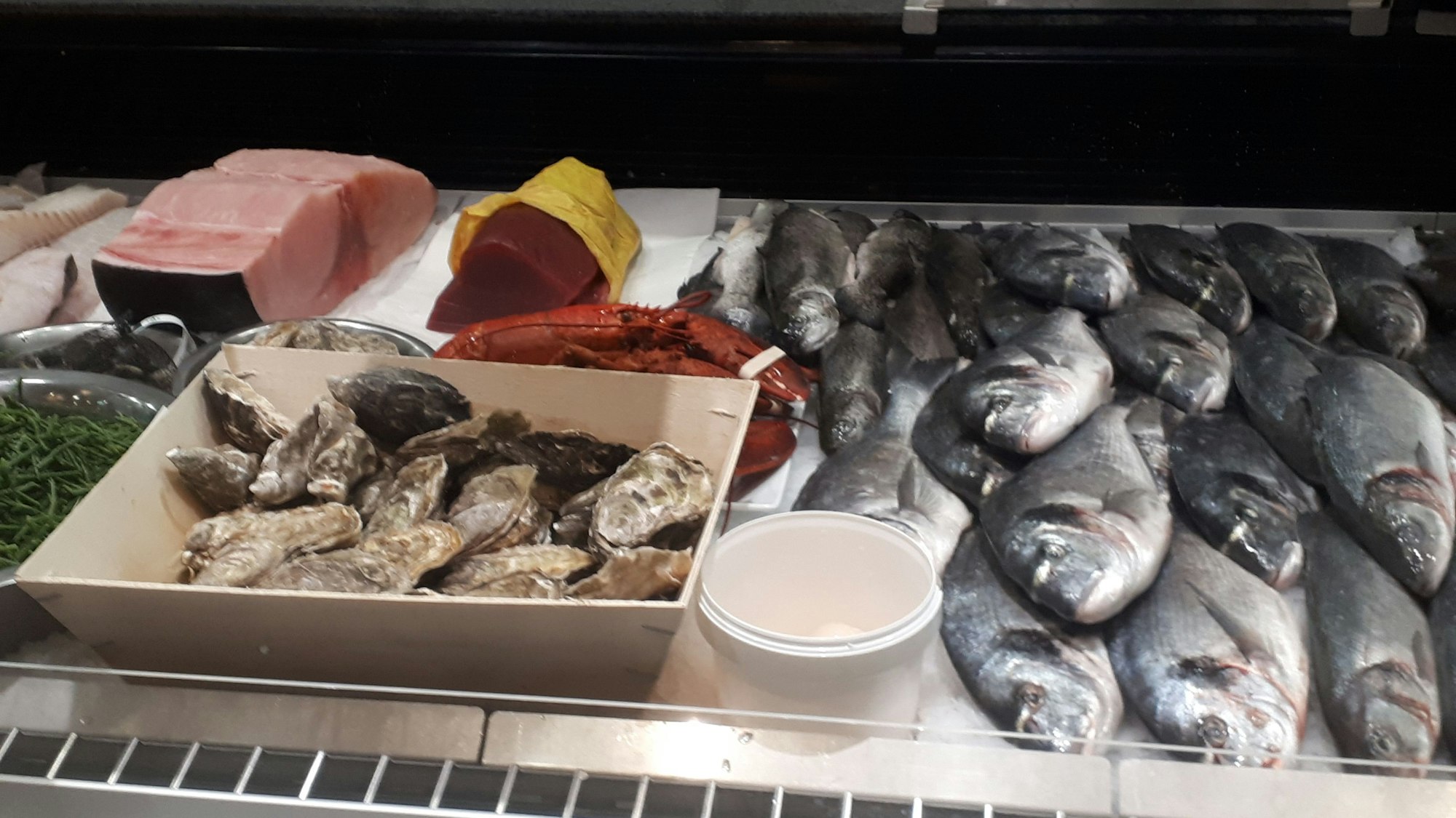 Frische Fische liegen in der Ladentheke im Reefhouse am Eigelstein.