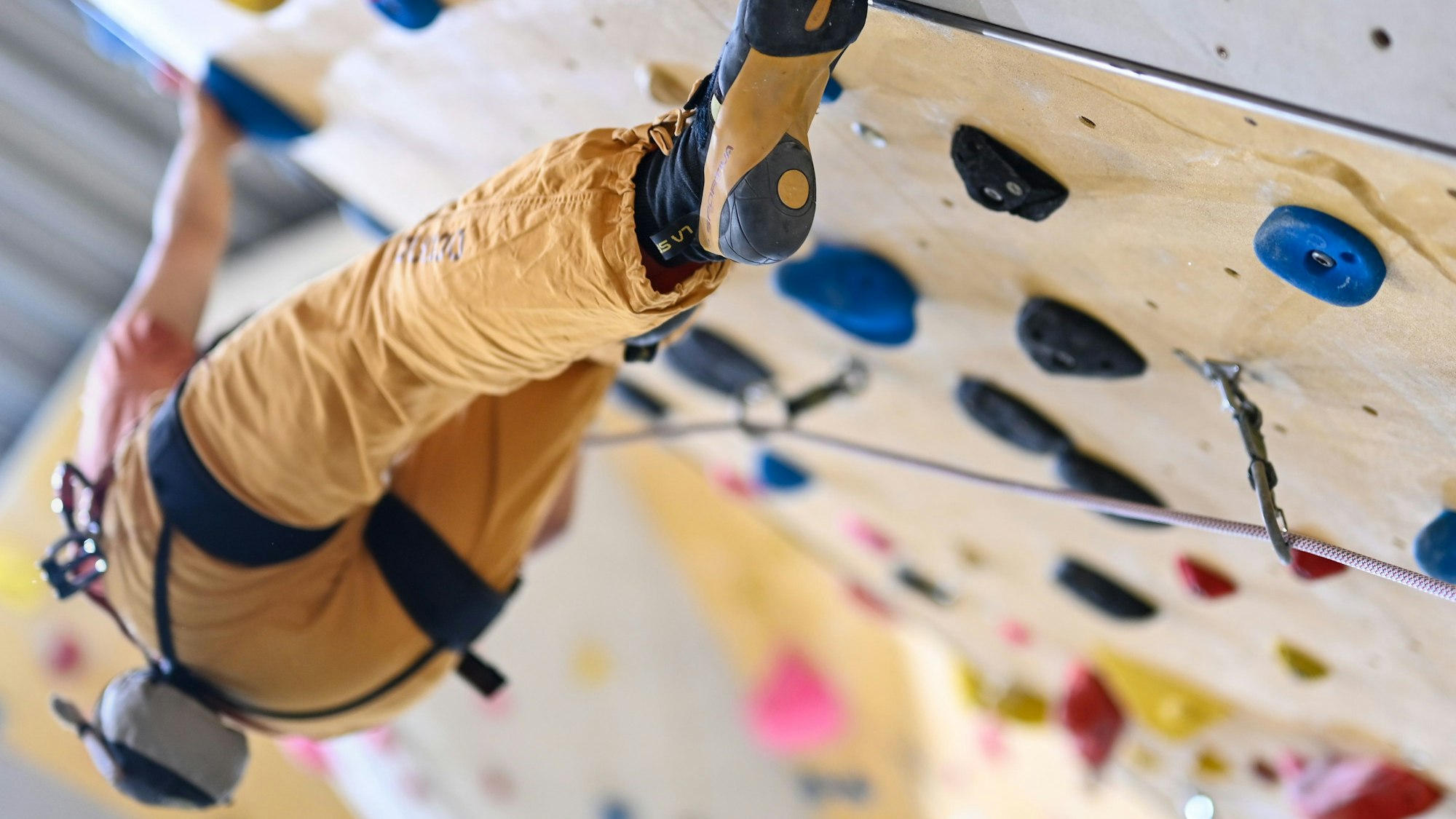 Eine Person klettert abgesichert an einer Wandn hoch.