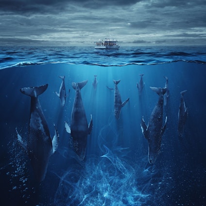 Szene aus „Der Schwarm “: Wale schwimmen kopfüber im Wasser über einer geheimnisvoll leuchtenden Masse