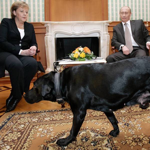 Der russische Präsident Wladimir Putin und die deutsche Bundeskanzlerin Angela Merkel halten im Januar 2007 ein Arbeitstreffen in der Präsidentenresidenz Bocharov Ruchei in der Nähe des Schwarzmeerortes Sotschi ab. Koni, Präsident Putins schwarzer Labrador Retriever, ist im Vordergrund zu sehen.