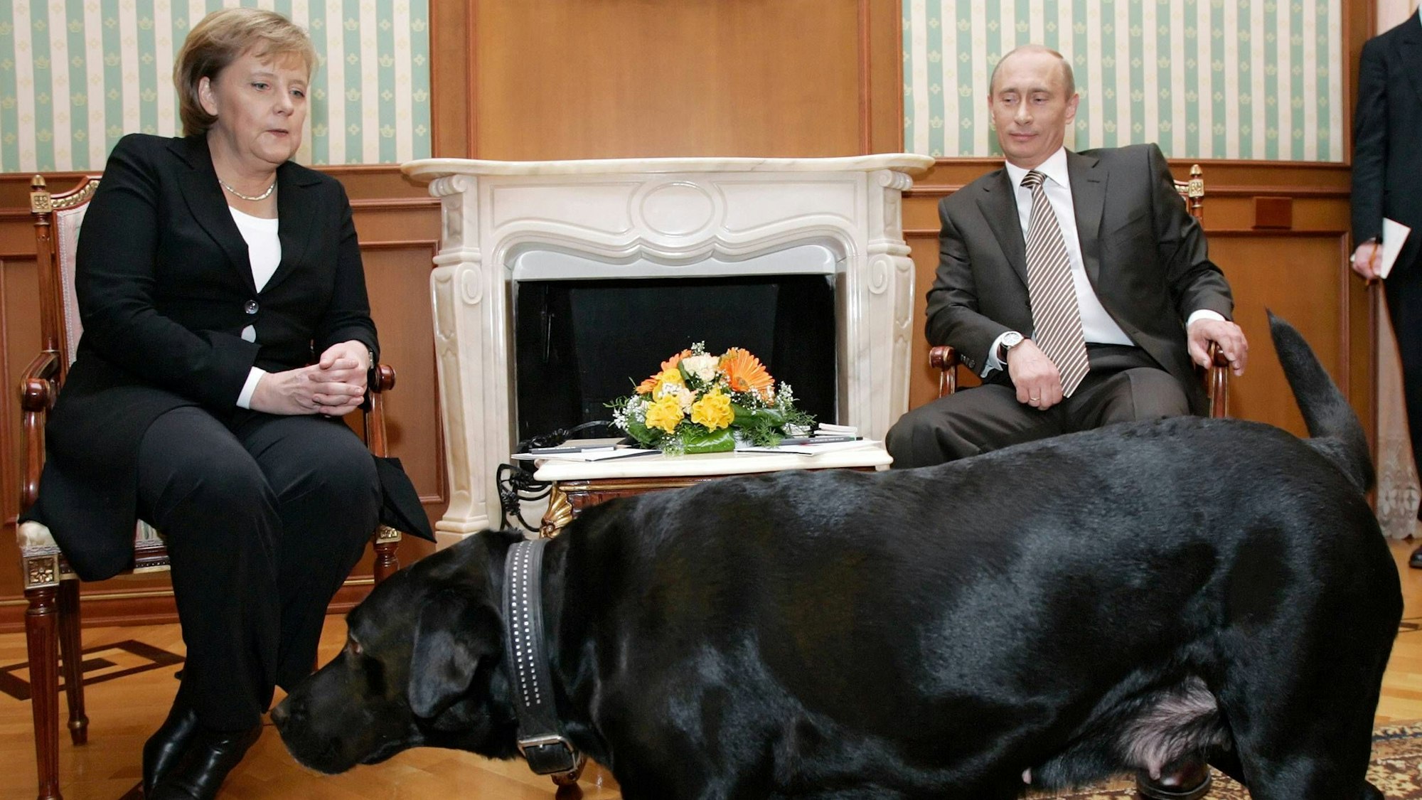 Der russische Präsident Wladimir Putin und die deutsche Bundeskanzlerin Angela Merkel halten im Januar 2007 ein Arbeitstreffen in der Präsidentenresidenz Bocharov Ruchei in der Nähe des Schwarzmeerortes Sotschi ab. Koni, Präsident Putins schwarzer Labrador Retriever, ist im Vordergrund zu sehen.