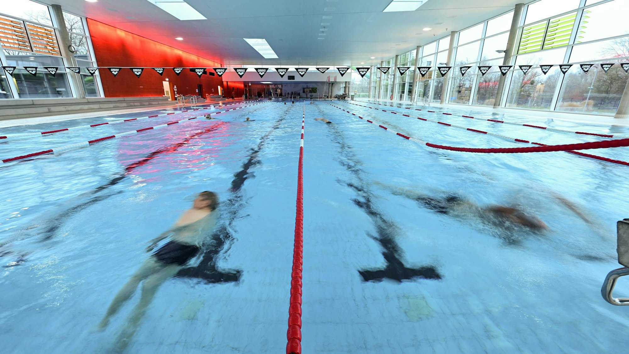 Mehrere Leute schwimmen Bahnen in einem Schwimmbad.