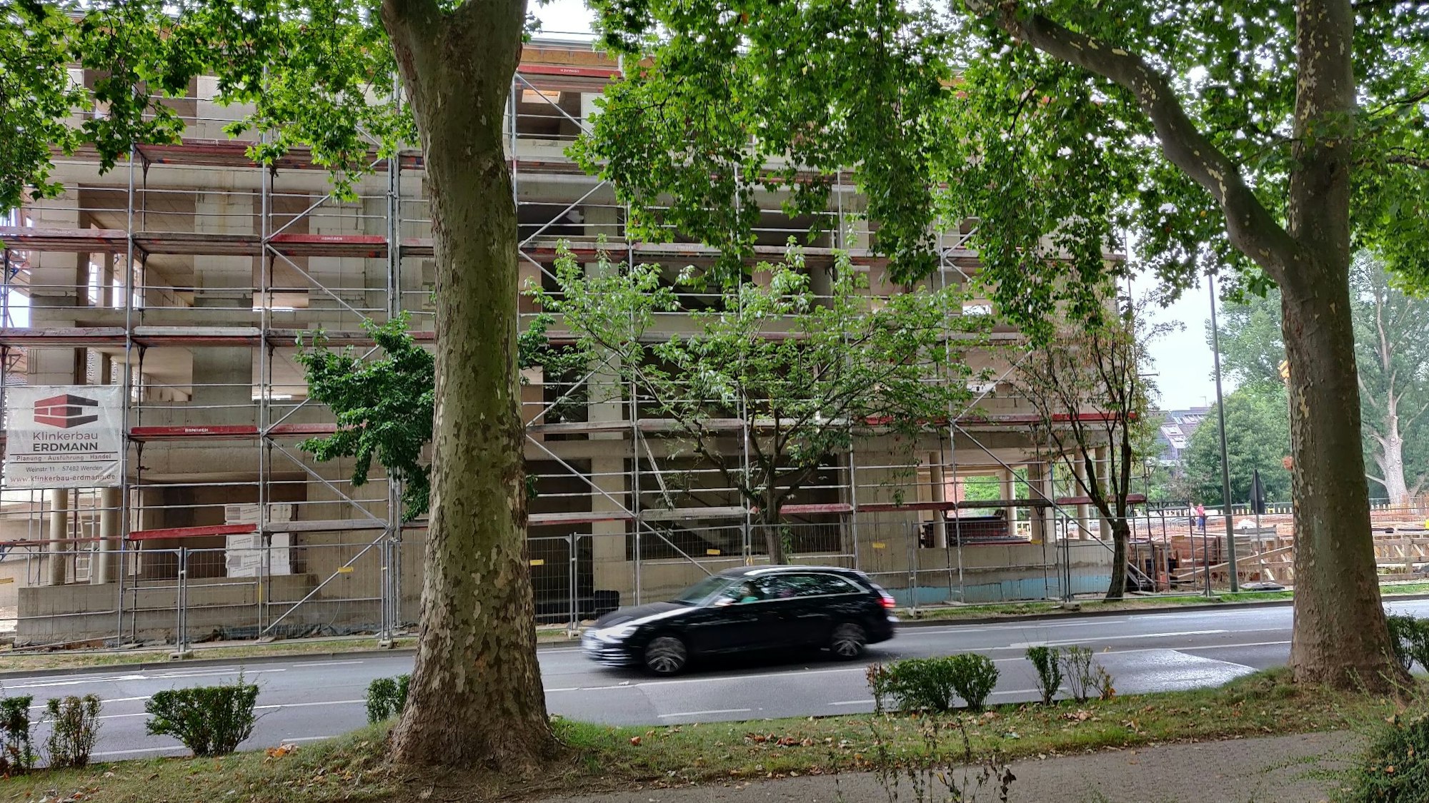 Bäume an der Neukirchener Straße