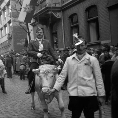 Beim Rosenmontagszug 1960 in Euskirchen ging es tierisch zu. Die Jecken ritten auf Ochsen durch die Bahnhofstraße.