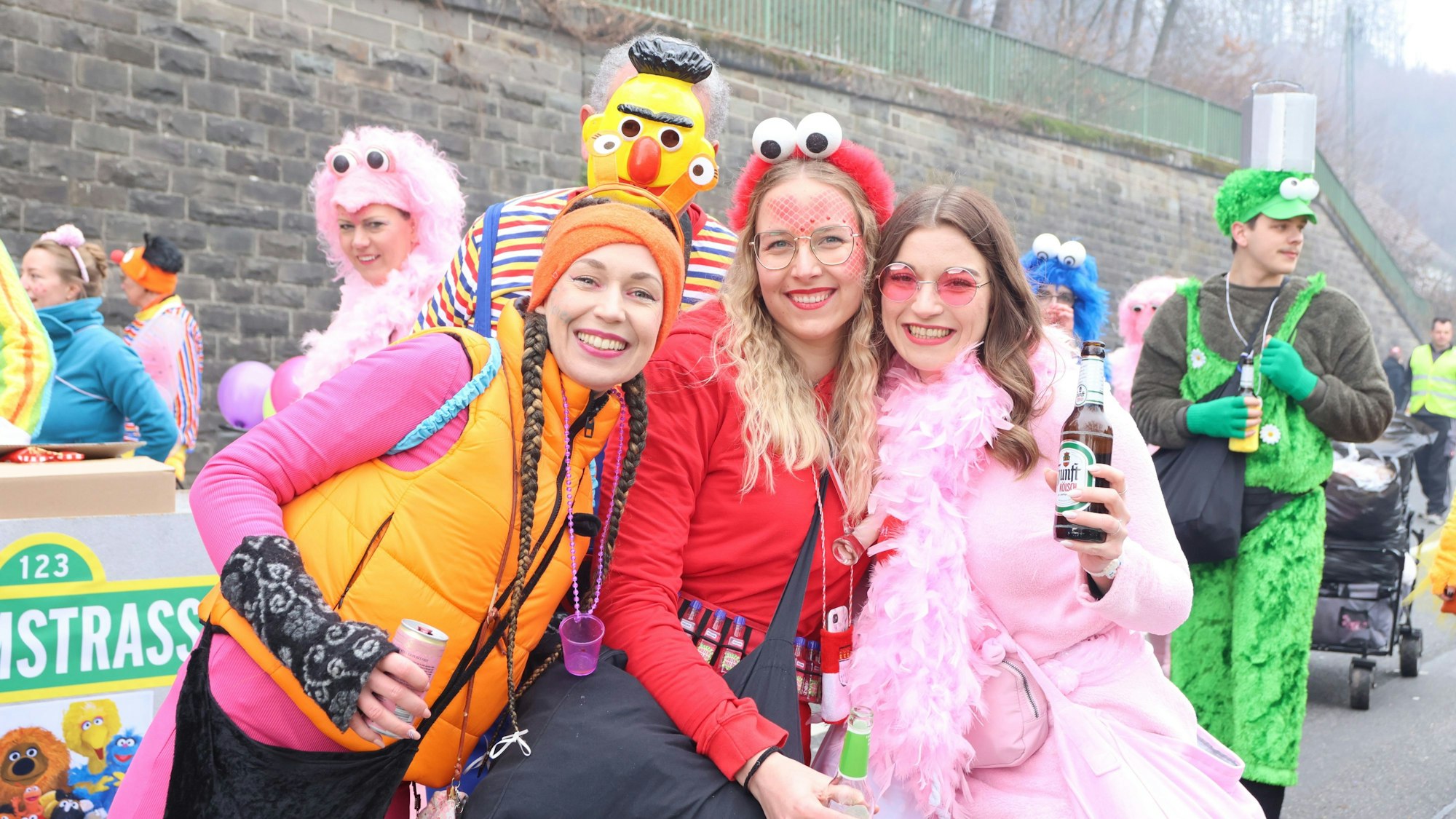 Mehrere Jecke sind als Ernie und Bert, Krümelmonster, Elmo, Bibo oder Tiffy aus der Sesamstraße verkleidet.