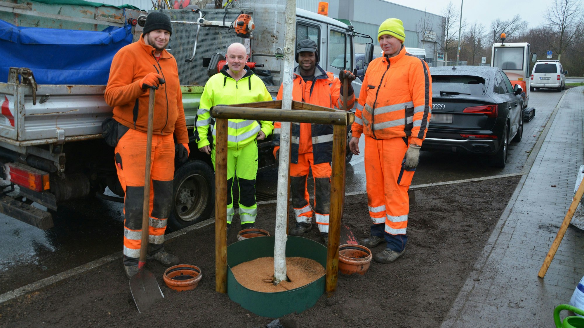 Das Gärtnerteam des Bauhofs, (v.l.) Christian Dichter, Oliver Heidelberg, Achmed Dinanni und Lars Elsner, steht an einem mit Splittzylinder gepflanzten Baum.