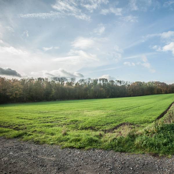 Feuerwache Nord: Landschaftsschutzgebiet auf den Heunen, Hauweg, Bauer Wilfried und Matthias Schlieper. Foto: Ralf Krieger