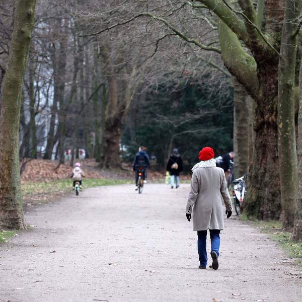 Der Kölner Grüngürtel im Januar