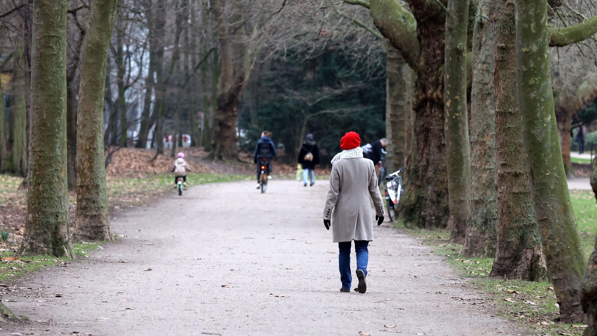 Der Kölner Grüngürtel im Januar